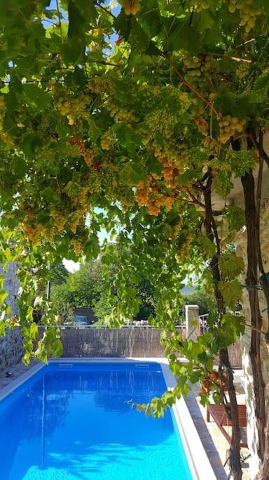 Stone House Kula Milica Villa Mala Cista Luaran gambar